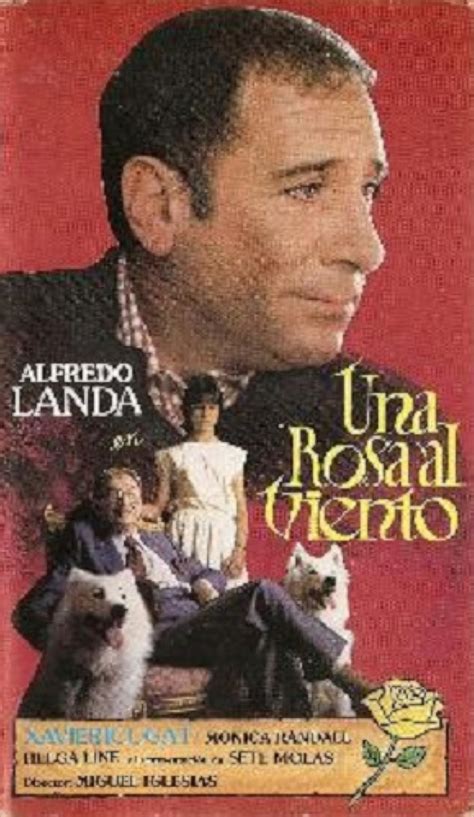 Una rosa al viento (1984) film online,Miguel Iglesias,Xavier Cugat,Alfredo Landa,Mónica Randall,Sete Molas